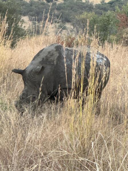 Exploring South Africa, Victoria Falls, and Botswana on 06/10/2025