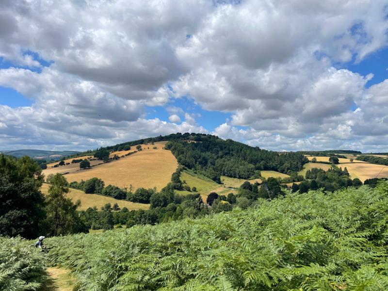 Our beautiful Shropshire walk