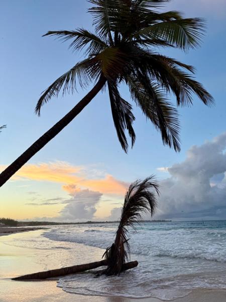Perfect vacation