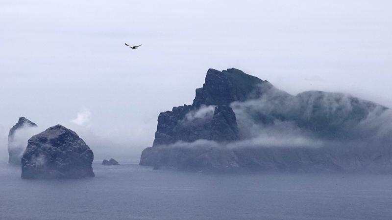 Up to St Kilda… June 2025