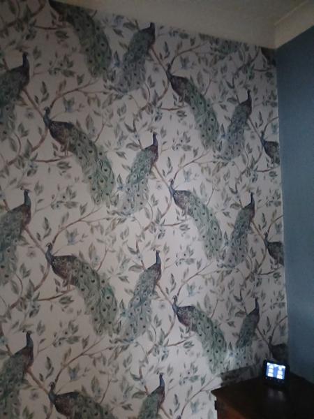 Keeka Peacock Wallpaper Blue / Neutral  Arthouse 923708