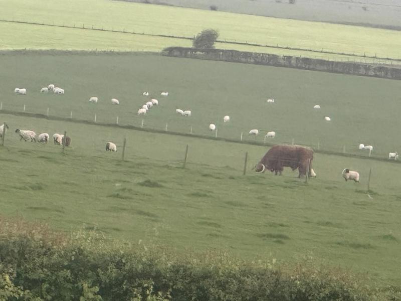 Mains Farm
