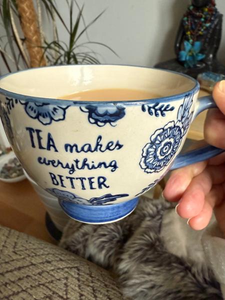 Sass & Belle Large Blue Willow Floral Mug