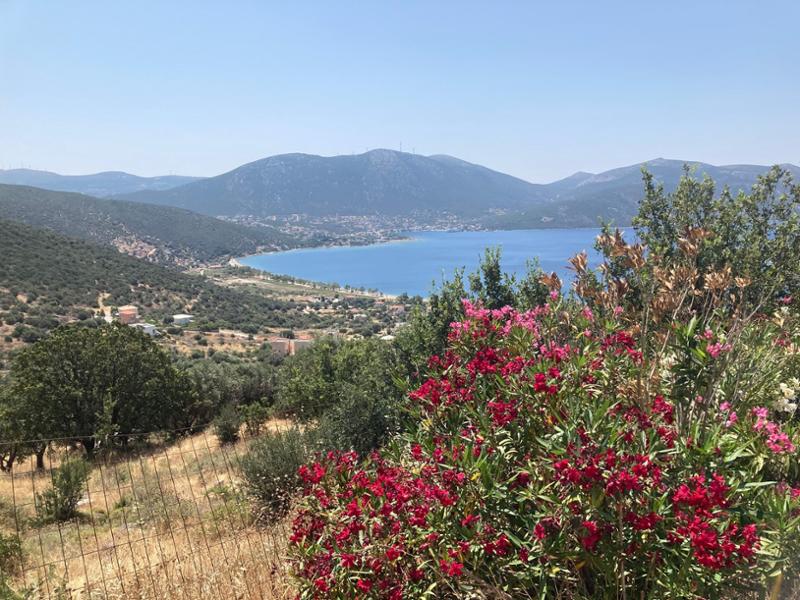 Greek Cruise and Island Walking