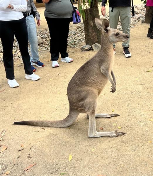 Contrasts of Australia