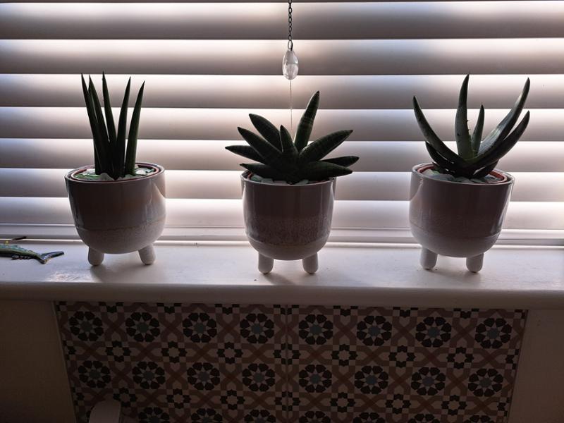 Sass & Belle Mojave Glaze Grey Planter  H12.5cm