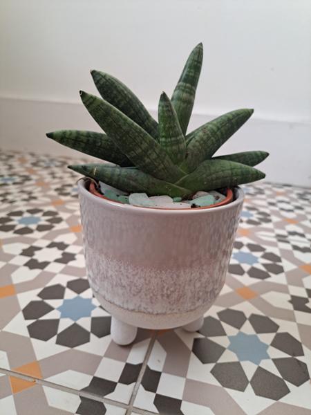 Sass & Belle Mojave Glaze Grey Planter  H12.5cm
