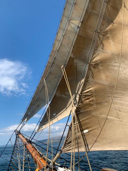 A Week under Sails