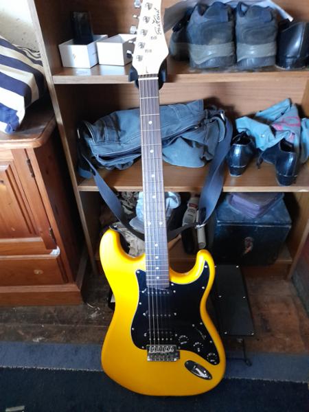 Ordo ABS Hard Case for Electric Guitar