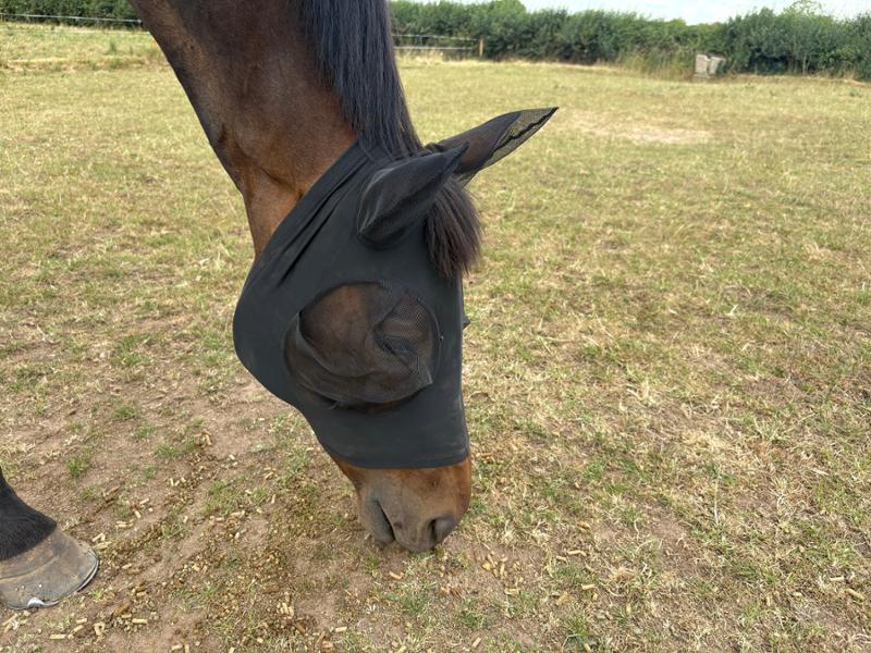 Great fitting mask
