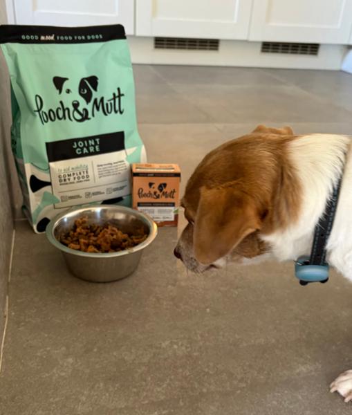 Chicken Pumpkin & Pea Wet Dog Food Multipack | 375g | Natural Grain-Free Wet Food For Dogs | Pooch & Mutt | Vet Recommended