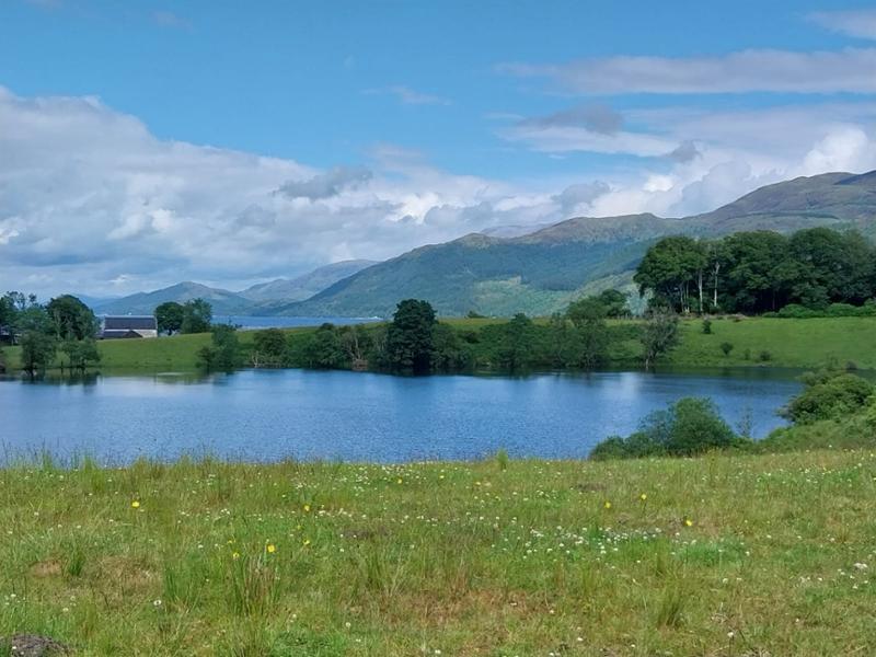 Great Highland Walking Experience