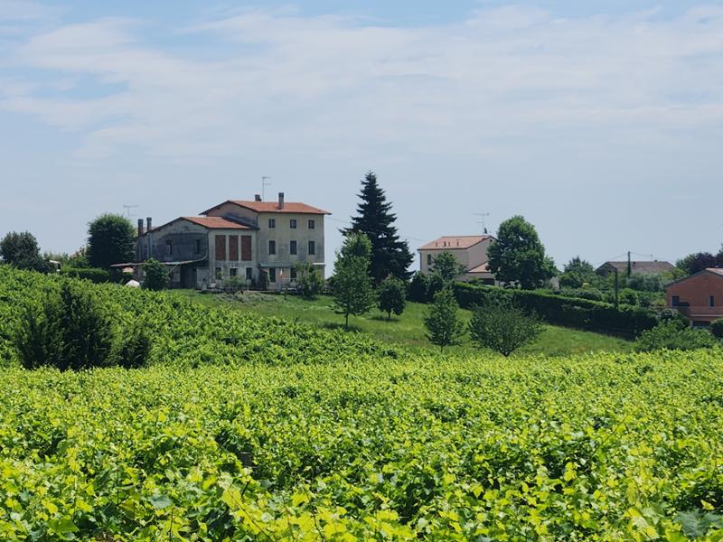 Country Roads of Northern Italy