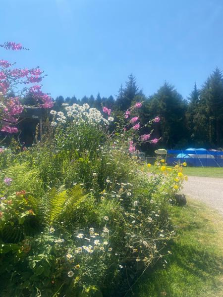 Loved this campsite, great location.