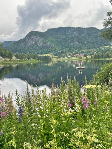 Morgedal Hotel