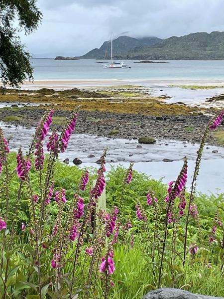Wonderful sailing holiday to the inner Hebrides .