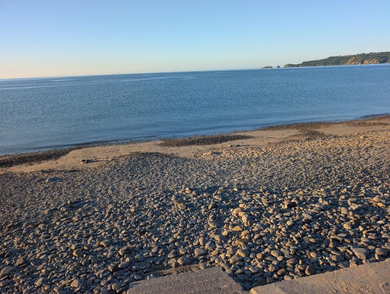 Beach on the doorstep, doggie heaven