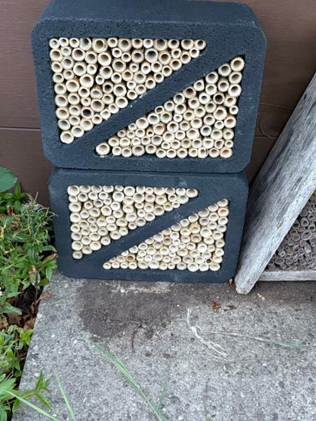 Bee Hotels