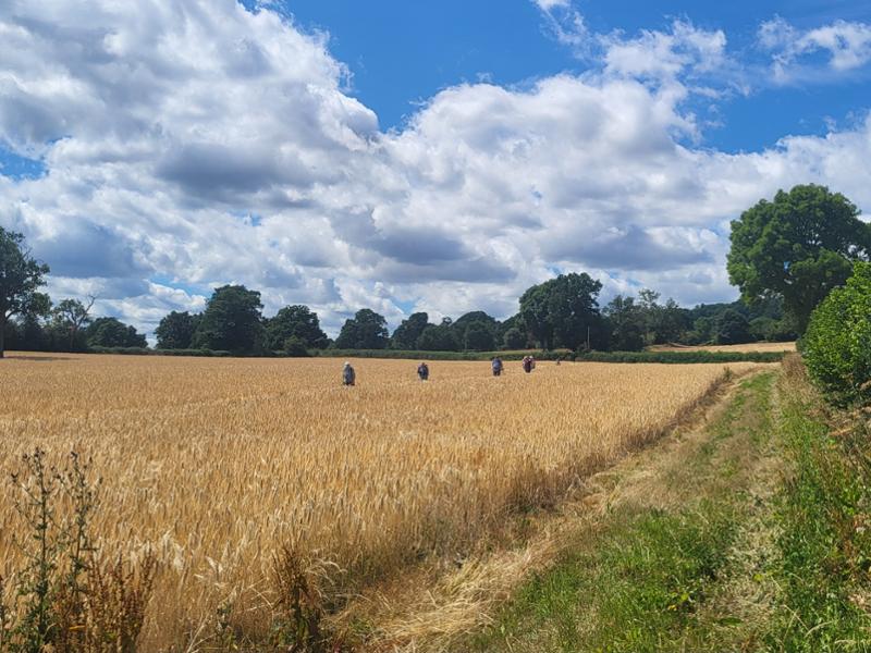 Your holiday: Shropshire Hills  - Guided Walking