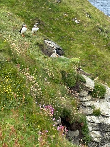 Walking Scotlandâ€™s Orkney Is