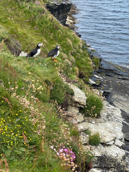 Walking Scotlandâ€™s Orkney Is