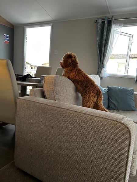 Gold Caravan (Sleeps 6)