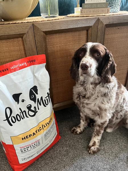 Hepatic Dry Dog Food | 10kg | Prescription Dog Food For Liver Disease | Veterinary Dog Food For Dogs With Liver Problems | Pooch & Mutt