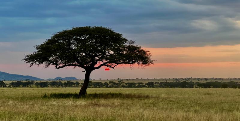 Go2Africa Private Family Safari in Tanzania
