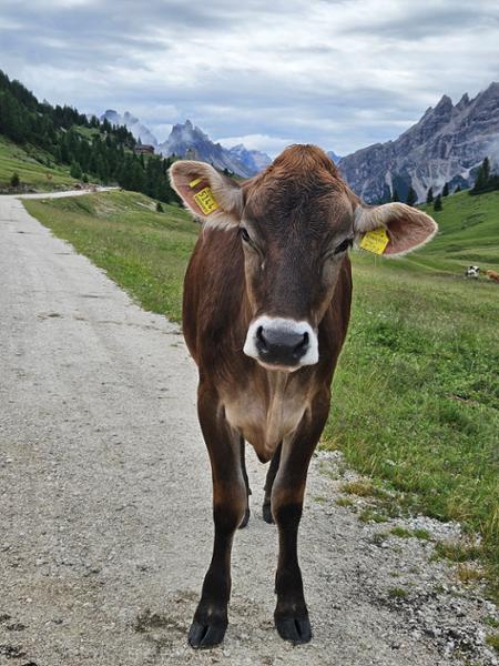 Hiking in the Dolomites