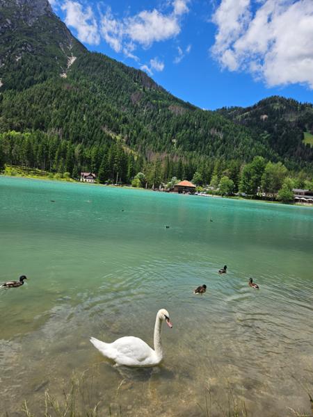 Hiking in the Dolomites