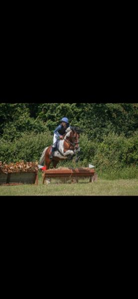 Blue-chip senior