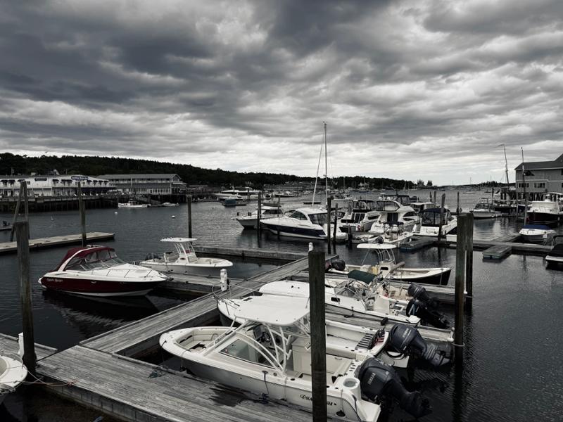 Roaming Coastal Maine on 06/15/2025