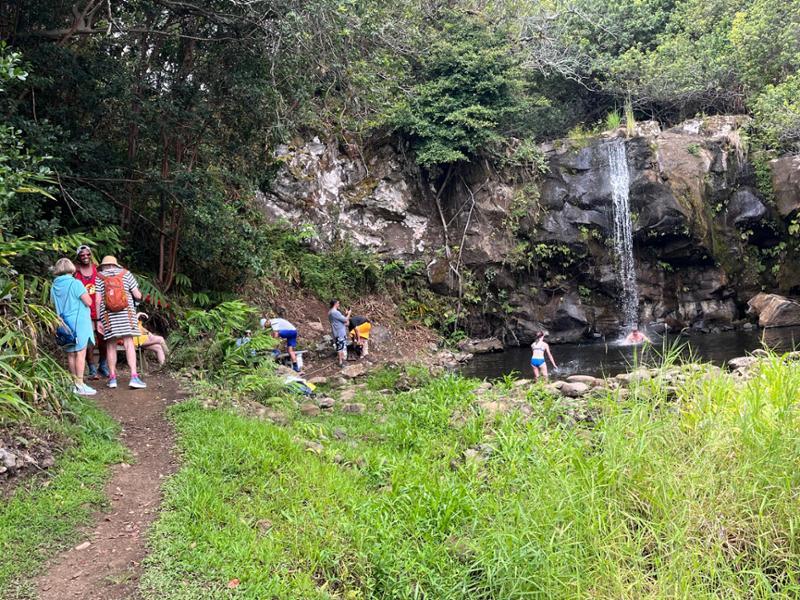 Hawaiian Explorer First Class