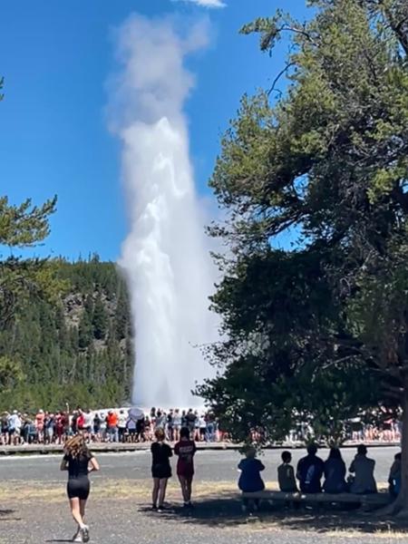 Yellowstone, Glacier & Grand Teton Adventure