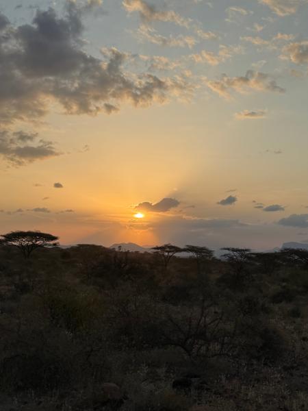 Kenya Wildlife Safari