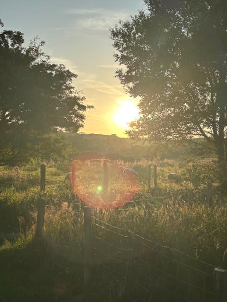 Super Holiday in pretty West Wales