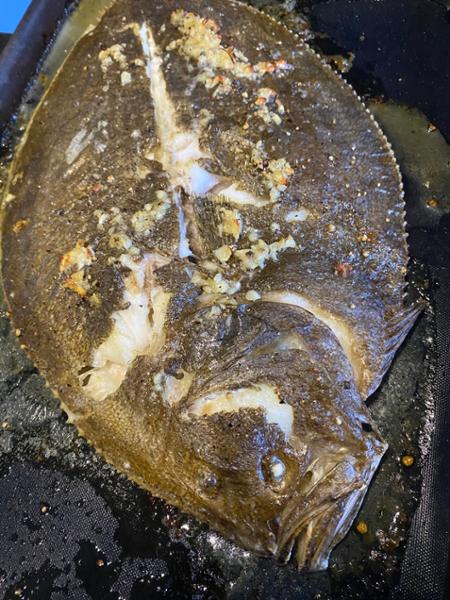 Fresh Brill T-bone - Fresh sustainable fish delivered next day