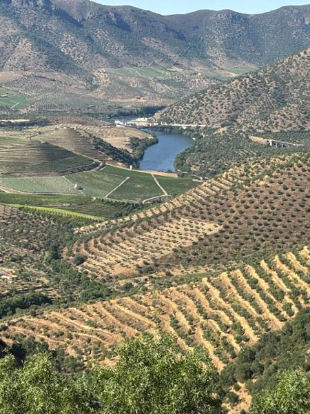Douro  Porto & Salamanca River Cruise