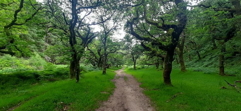 Your holiday: Exmoor  - Self Guided Walking