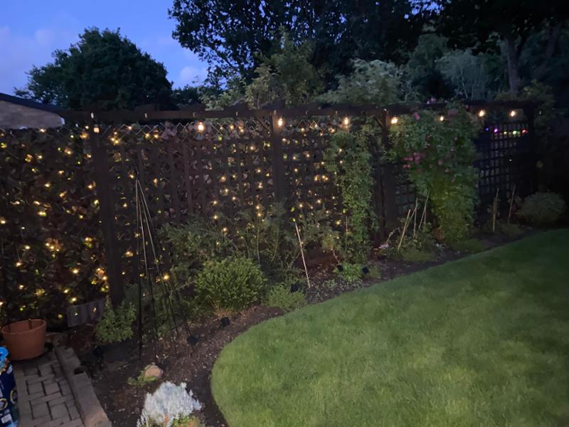 The Ultimate Bird Garden