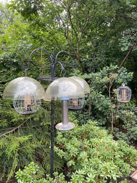 The Ultimate Bird Garden