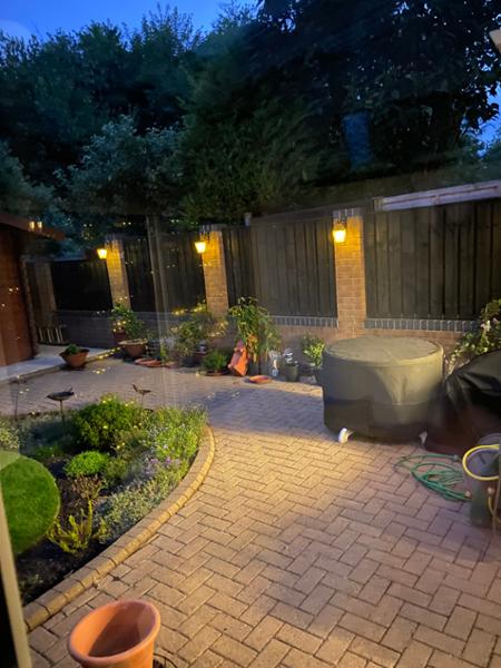 The Ultimate Bird Garden