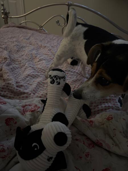Patch Cuddly Dog Soft Toy | Dog Toy With Squeaker | Planet-Friendly | Made From Recycled Bottles | Pooch & Mutt