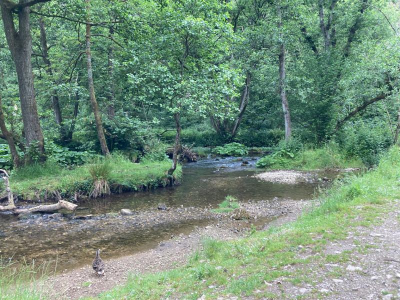 Your holiday: Peak District  - Guided Walking
