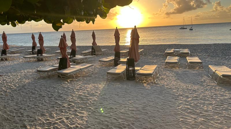 A taste of paradise!