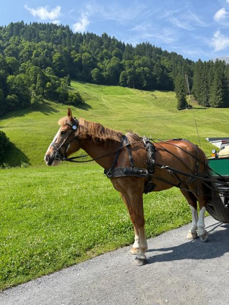 Glorious Switzerland