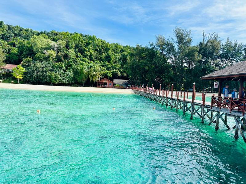 5030-2 for 1 Borneo
