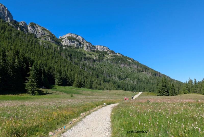 Your holiday: Zakopane Guided Walking