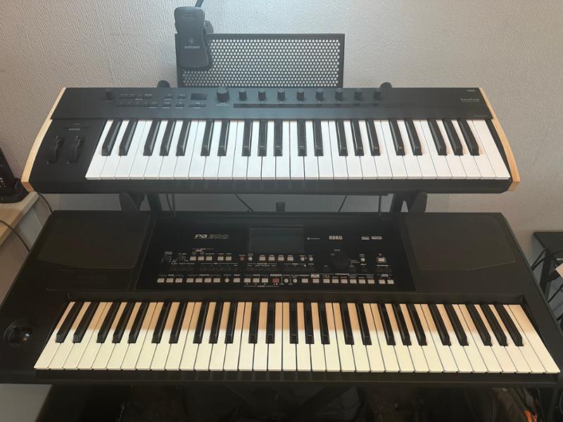 Korg gear. intuitive, reliable, inspiring, simply ****** brilliant!