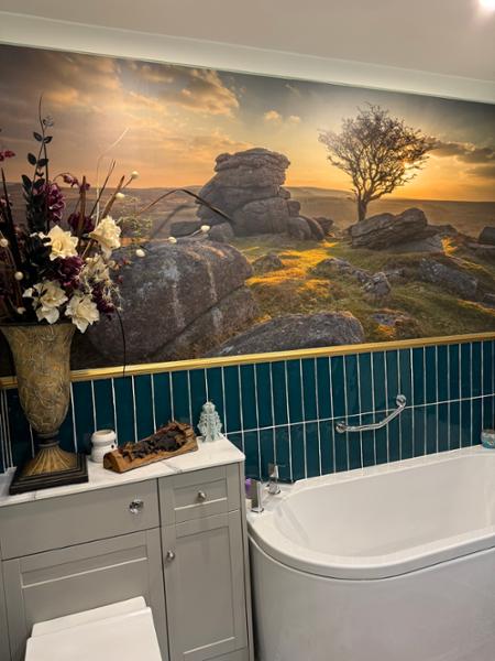 Dartmoor in the bathroom…….awesome